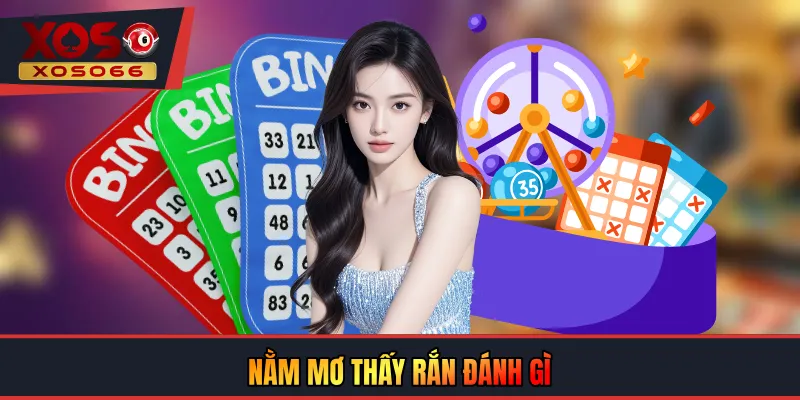 Nằm mơ thấy rắn đánh gì